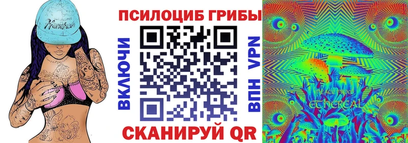 Галлюциногенные грибы Psilocybe  Муром 
