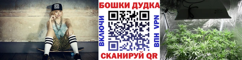 Каннабис OG Kush Муром